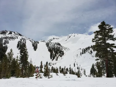 20190517_121224 (Large).jpg